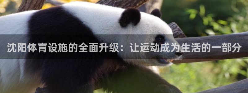 意昂体育4平台注册要钱吗：沈阳体育设施的全面升级：让