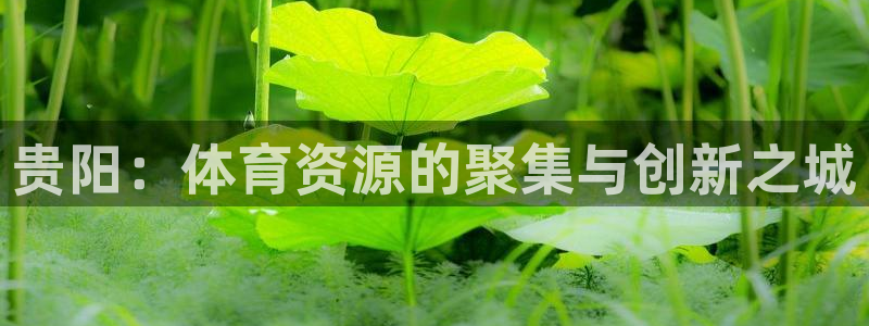 意昂4神州：贵阳：体育资源的聚集与创新之城