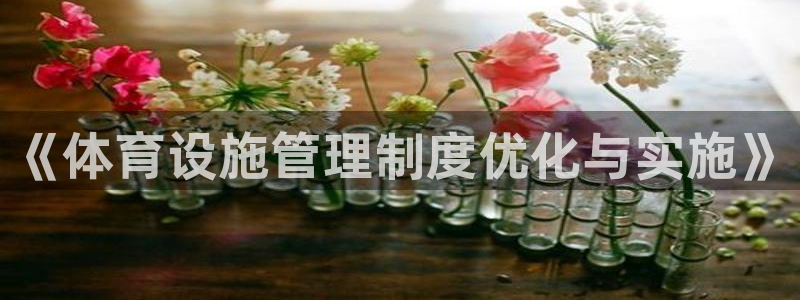 意昂4科技：《体育设施管理制度优化与实施》