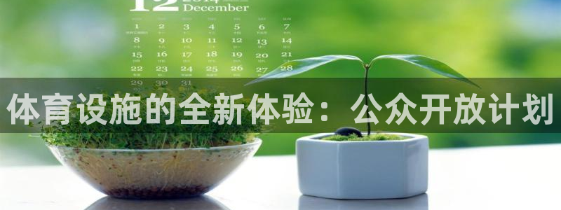 意昂集团官网：体育设施的全新体验：公众开放计划