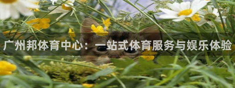 意昂4娱乐网站：广州邦体育中心：一站式体育服务与娱乐