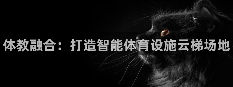 意昂体育4平台是正规平台吗：体教融合：打造智能体育设