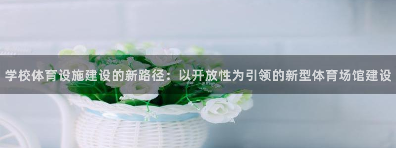 意昂4娱乐：学校体育设施建设的新路径：以开放性为引领