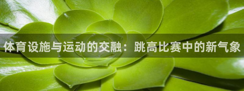 意昂4官网：体育设施与运动的交融：跳高比赛中的新气象