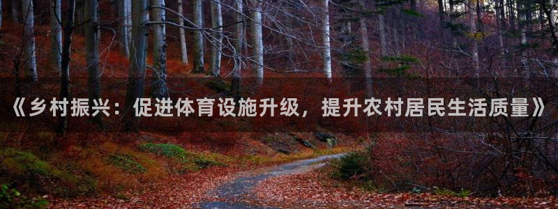意昂体育4平台假的吗是真的吗吗：《乡村振兴：促进体育设施升级
