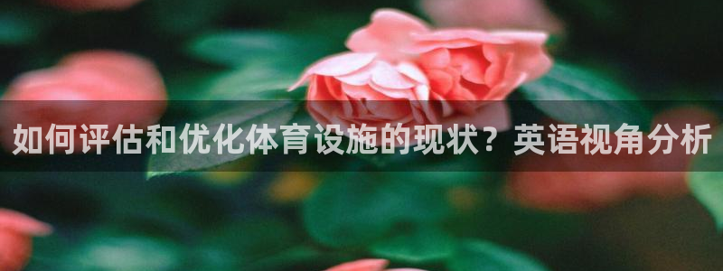 意昂体育4招商电话号码查询：如何评估和优化体育设施的