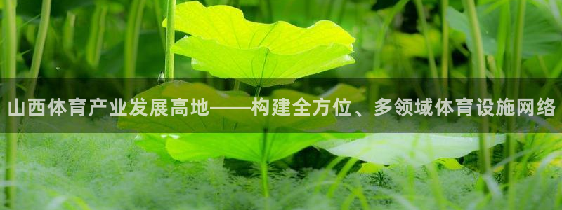 意昂体育4招商电话地址是多少：山西体育产业发展高地—