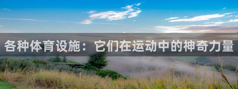 意昂体育4招商电话是多少号码：各种体育设施：它们在运
