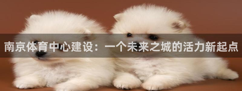 意昂平台体育：南京体育中心建设：一个未来之城的活力新