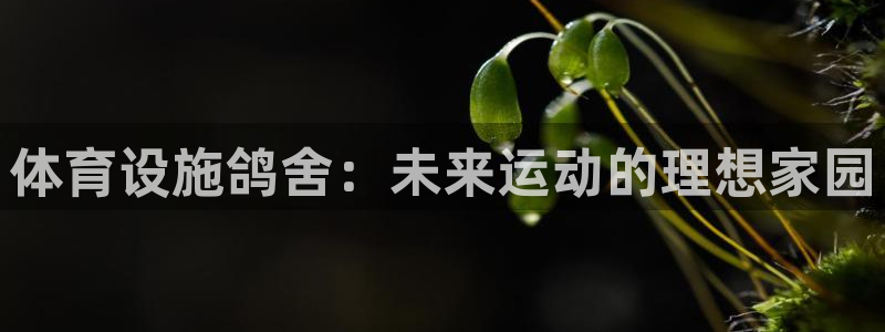 意昂4娱乐是那个系列的台子：体育设施鸽舍：未来运动的理想家园