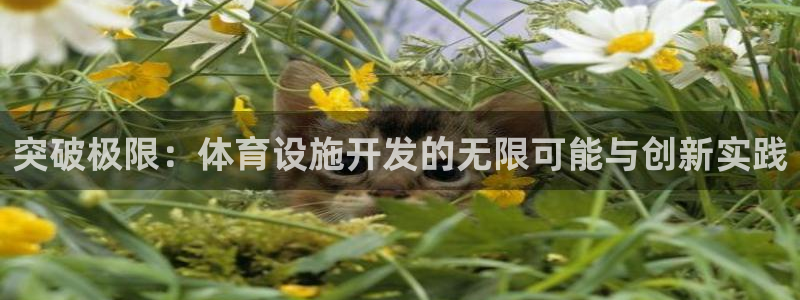意昂4娱乐代理怎么样：突破极限：体育设施开发的无限可能与创新