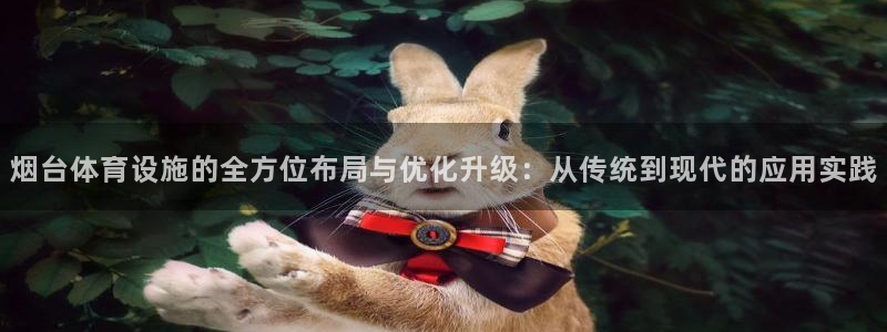 意昂体育4平台注册流程图：烟台体育设施的全方位布局与优化升级 