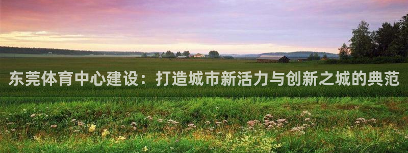 意昂体育4平台注册流程视频：东莞体育中心建设：打造城