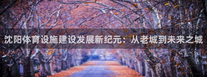 意昂4娱乐首页网站大全：沈阳体育设施建设发展新纪元：从老城到