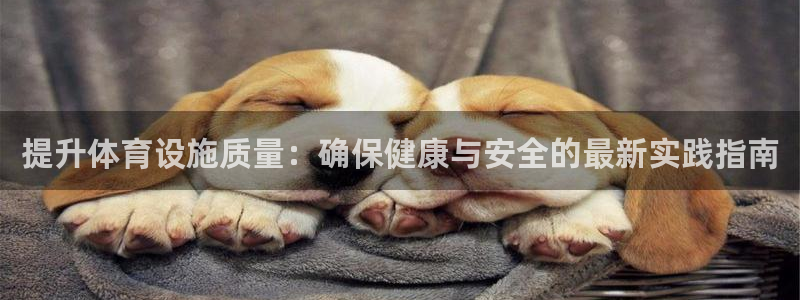意昂4娱乐首页网站大全：提升体育设施质量：确保健康与安全的最